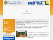 Tablet Screenshot of maestriaencomercioexterior.uson.mx